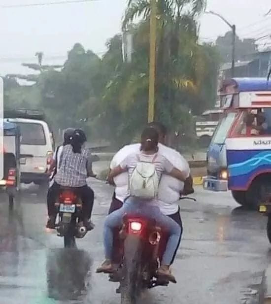 Những hình ảnh hài hước trong ngày ảnh 6