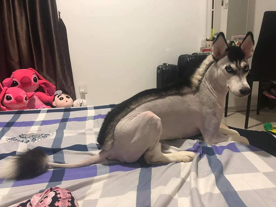 Những hình ảnh hài hước trong ngày ảnh 3