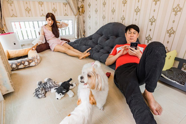 Cặp đôi chi tiền khủng xây biệt thự làm... chuồng chó cho cún cưng, trong nhà có máy lạnh, đủ đồ chơi và ở được ít nhất 3 người - Ảnh 10. Cặp đôi chi tiền khủng xây biệt thự làm... chuồng chó cho cún cưng, trong nhà có máy lạnh, đủ đồ chơi và ở được ít nhất 3 người - Ảnh 10.