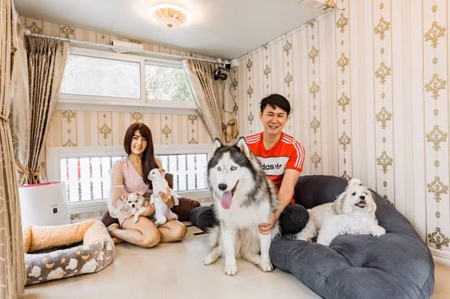 Cặp đôi chi tiền khủng xây biệt thự làm... chuồng chó cho cún cưng, trong nhà có máy lạnh, đủ đồ chơi và ở được ít nhất 3 người - Ảnh 3.