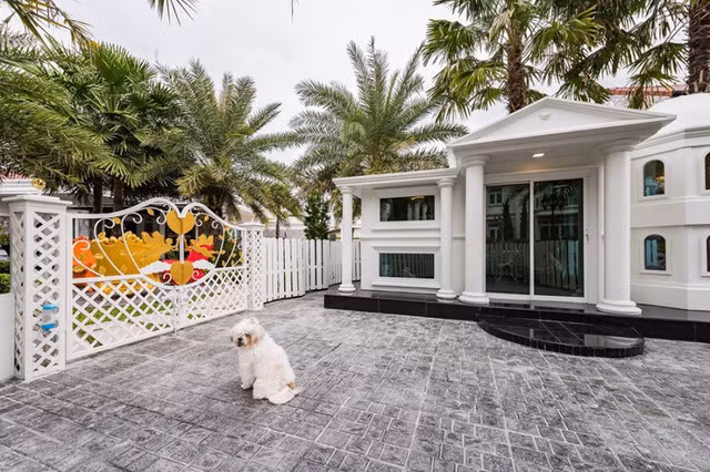 Cặp đôi chi tiền khủng xây biệt thự làm... chuồng chó cho cún cưng, trong nhà có máy lạnh, đủ đồ chơi và ở được ít nhất 3 người - Ảnh 12.