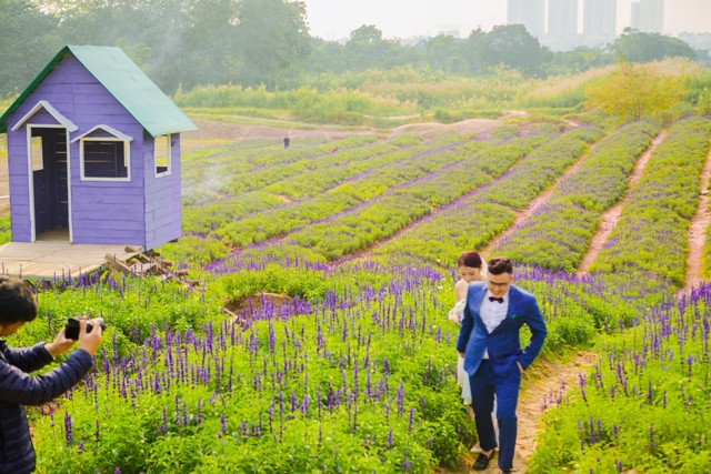 Nhiều cặp đôi không thể bỏ qua được khung cảnh này.