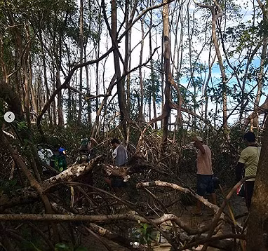 Bí ẩn cá voi khổng lồ chết trong rừng Brazil - ảnh 2