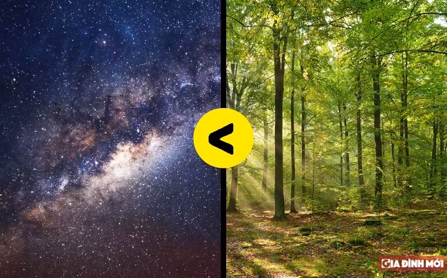 10 sự thật kinh ngạc về các con số thống kê đến người ghét Toán cũng thấy thú vị ảnh 2 10 sự thật kinh ngạc về các con số thống kê đến người ghét Toán cũng thấy thú vị 1