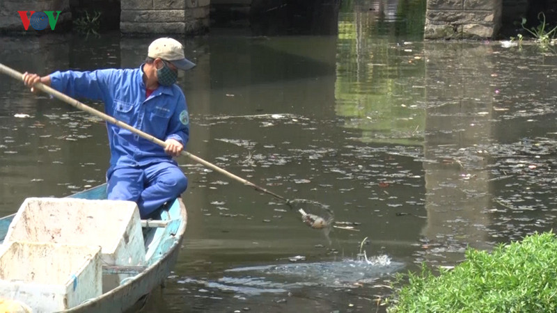 ô nhiễm nghiêm trọng tại chùa cầu hội an hình 2 o nhiem nghiem trong tai chua cau hoi an hinh 2