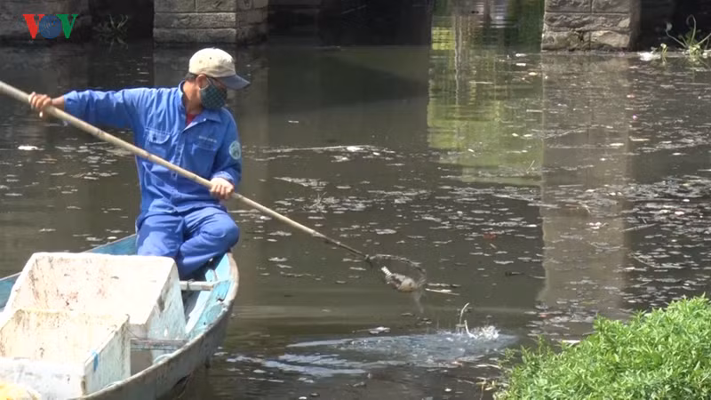 o nhiem nghiem trong tai chua cau hoi an hinh 2