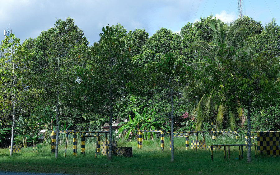 Ngoài ra, tại khu vực trường bắn và khu vực phi trường 31, nếu được Thủ trưởng Bộ Tư lệnh Quân khu 9 cho phép, có thể bố trí thi được một số nội dung khác.