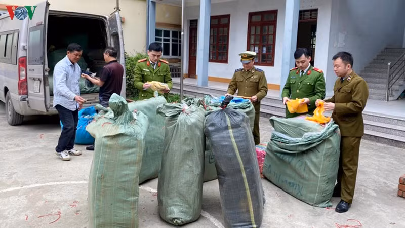 Siết chặt quản lý thị trường, nguồn gốc thịt lợn dịp Tết