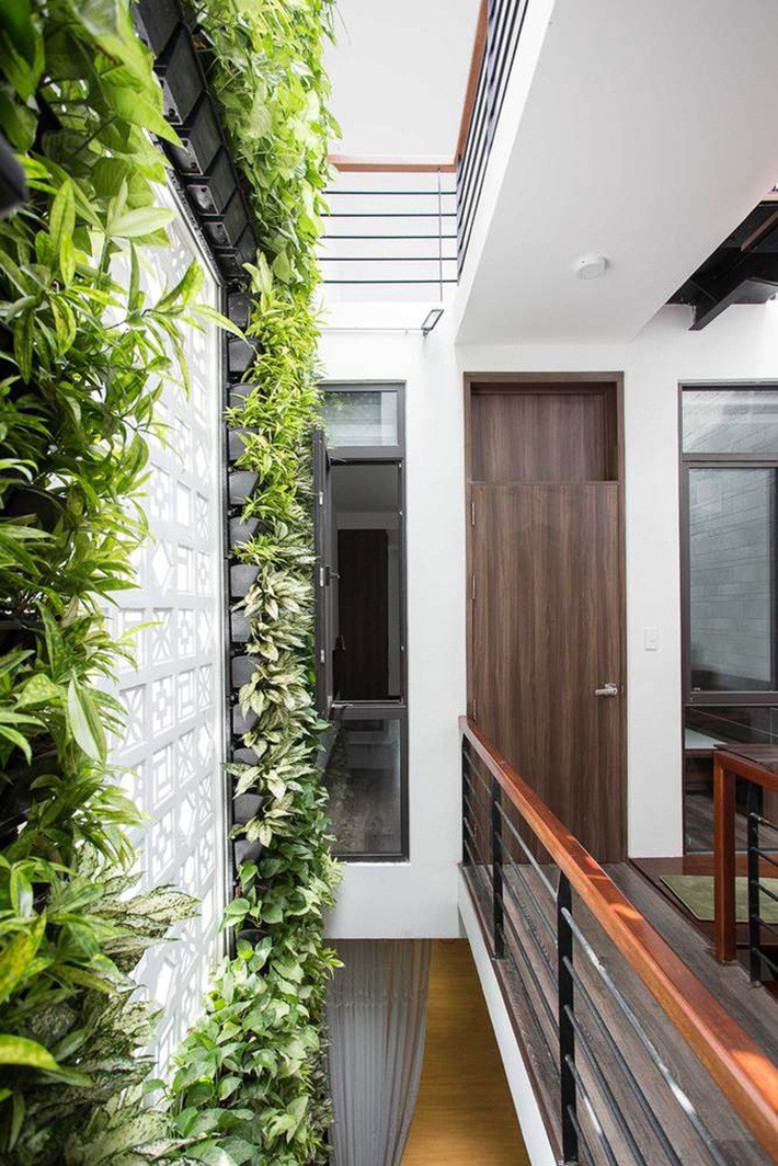 Ngôi nhà trong hẻm nhỏ nhưng đầy bóng nắng và cây xanh ở thành phố Đà Nẵng - Ảnh 15.