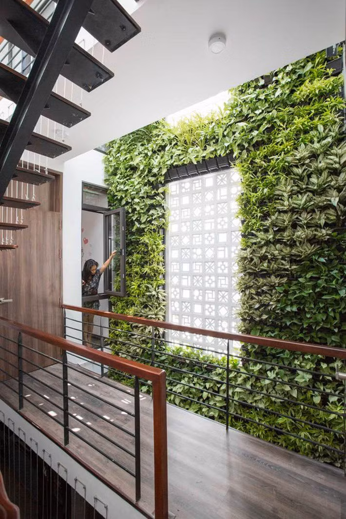 Ngôi nhà trong hẻm nhỏ nhưng đầy bóng nắng và cây xanh ở thành phố Đà Nẵng - Ảnh 16.