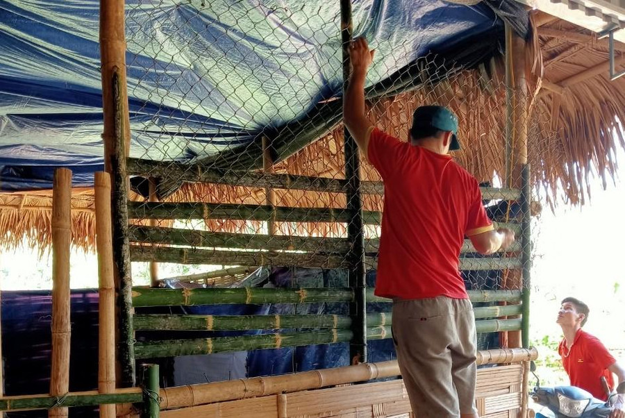 Phụ huynh gia cố lại phòng học tranh tre chuẩn bị đón học sinh vào năm học mới. Phụ huynh gia cố lại phòng học tranh tre chuẩn bị đón học sinh vào năm học mới.