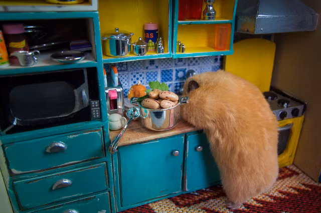 Phòng bếp xinh xắn, dễ thương.