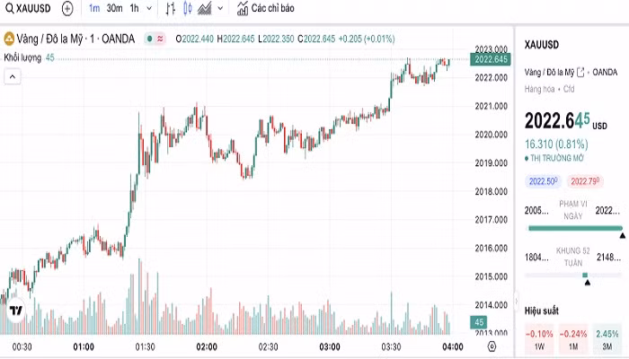 Biểu đồ biến động giá vàng trong 24 giờ qua