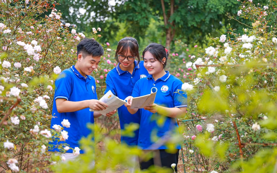 Vườn hồng tại khuôn viên Trường THPT Kim Ngọc (Vĩnh Phúc) đang kỳ nở rộ là nơi các em học sinh có thể tới trao đổi bài mỗi giờ ra chơi.