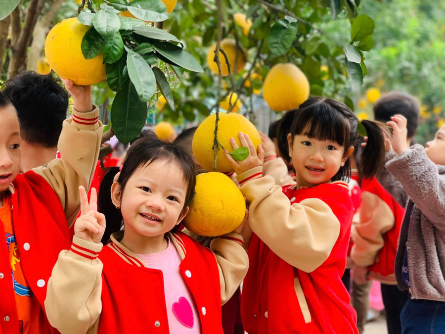 Trẻ được quan sát, trải nghiệm ở vườn Bưởi trĩu quả tại Trường Mầm non Ngô Thì Nhậm nên rất hào hứng.