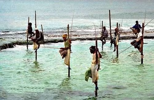 Những kiểu câu cá "bá đạo nhất quả đất" khiến thánh cũng bái phục 