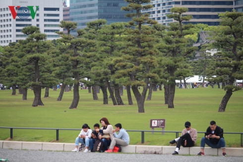 khám phá vẻ đẹp hoàng cung nhật bản trong ngày trọng đại của đất nước hình 4 kham pha ve dep hoang cung nhat ban trong ngay trong dai cua dat nuoc hinh 4