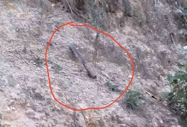 Con dao quắm nghi của hung thủ để lại.