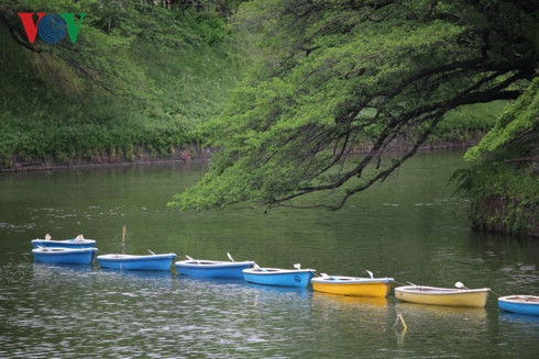 khám phá vẻ đẹp hoàng cung nhật bản trong ngày trọng đại của đất nước hình 12 kham pha ve dep hoang cung nhat ban trong ngay trong dai cua dat nuoc hinh 12