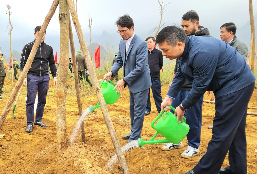 Các đại biểu tham gia trồng cây sau Lễ phát động "Tết trồng cây".