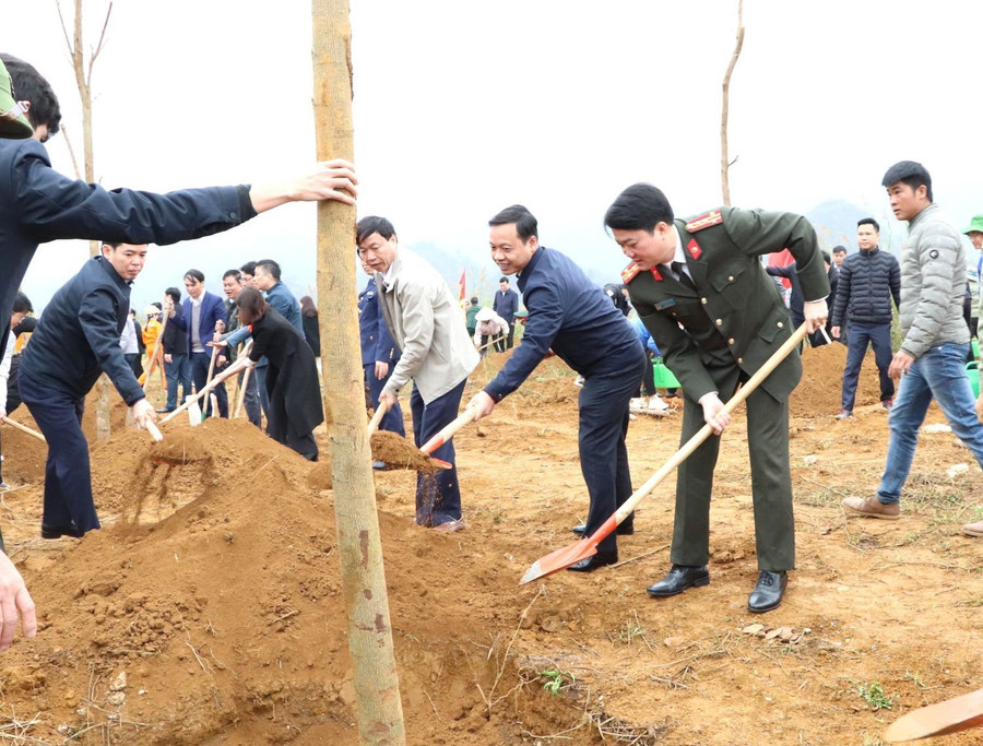 Đại biểu trồng cây tại trường Cao đẳng Cộng đồng Lai Châu. Ảnh: Nguyễn Chanh. Đại biểu trồng cây tại trường Cao đẳng Cộng đồng Lai Châu. Ảnh: Nguyễn Chanh.