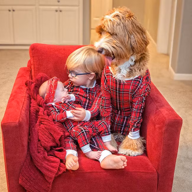 Ngắm cặp chủ - tớ đáng yêu này, bạn sẽ muốn nuôi chó ngay tức khắc - Ảnh 3.