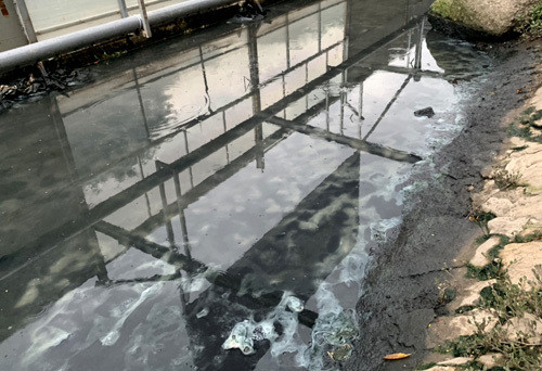 Nước và váng bùn bên trong khu quây thí điểm sau khi dừng phun mưa nano. Ảnh: Tất Định