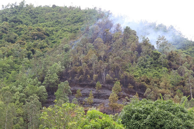 Đến khoảng 15h, đám cháy cơ bản được kiểm soát, tuy nhiên cột khói vẫn còn bốc lên.