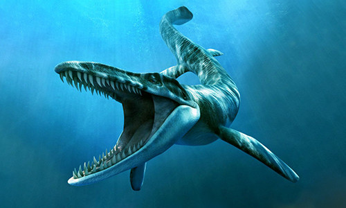 Đồ họa mô phỏng chi thằn lằn biển Tylosaurus. Ảnh: Prehistoric Animals. Đồ họa mô phỏng chi thằn lằn biển Tylosaurus. Ảnh: Prehistoric Animals.