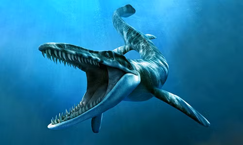 Đồ họa mô phỏng chi thằn lằn biển Tylosaurus. Ảnh: Prehistoric Animals.