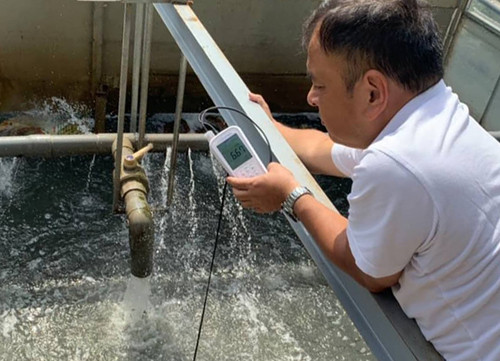 Tiến sĩ Kubo Jun, chuyên gia môi trường Nhật Bản, đo hàm lượng oxy khu vực thí điểm. Ảnh: Tất Định