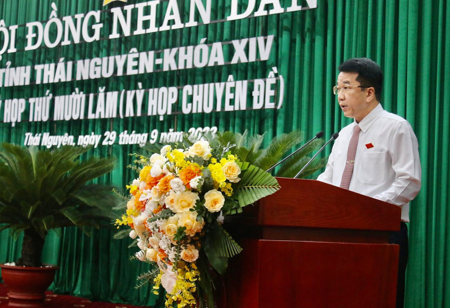 Đại biểu trình bày báo cáo tờ trình.