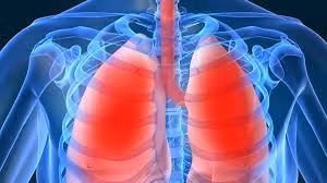 5 thói quen giúp phổi luôn khỏe mạnh mỗi ngày