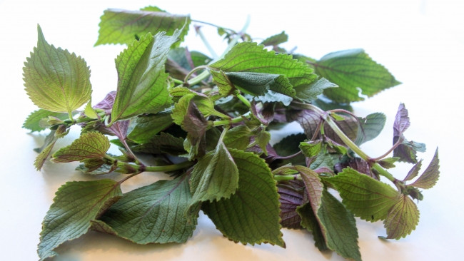 Mụn thịt tuổi dậy thì dày chạt như cơm cháy cũng xẹp lép với công thức chưa đến 10 ngàn đồng