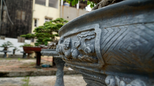 Ông Toàn đã đầu tư 20 chậu quý cho những cây giá trị cao, đặc biệt là những chậu từ thời vua Gia Long được chạm khắc tinh xảo. Ảnh: Trọng Nghĩa.