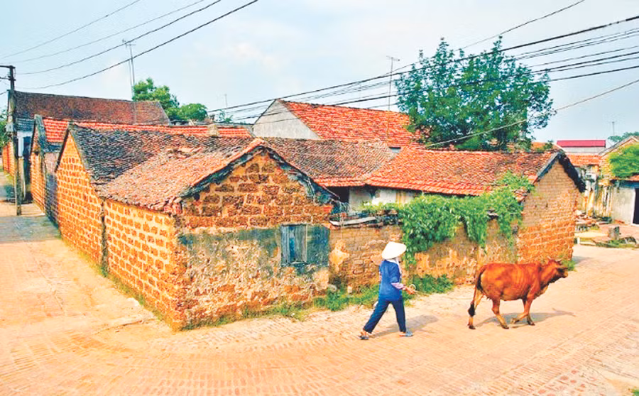 Làng cổ Đường Lâm, điểm đến tham quan, học tập nổi tiếng của Hà Nội