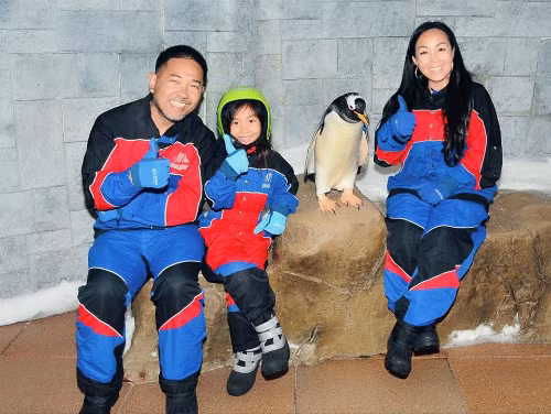 Gia đình nhỏ của chị Quỳnh. Gia đình Việt kiều dừng công việc kiếm triệu đô/năm để con được học tiếng Việt