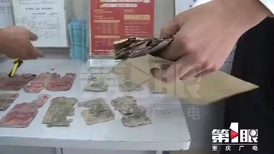 Bán rau 10 năm tích được 100 triệu, lão nông khóc ròng vì tiền bị chuột xơi tái - Hình 5