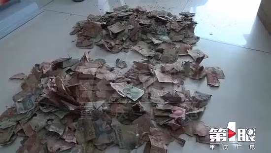 Bán rau 10 năm tích được 100 triệu, lão nông khóc ròng vì tiền bị chuột xơi tái - Hình 3