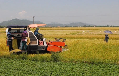 Sứ mệnh hợp tác xã nông nghiệp