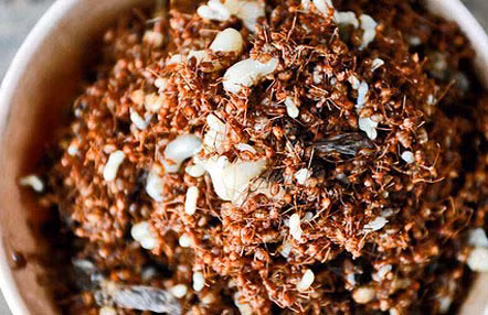 Không chỉ phân non động vật, Việt Nam còn có nhiều món ăn độc lạ làm nhiều người khiếp đảm - Hình 12