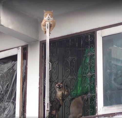 Nơi nguy hiểm nhất chính là nơi an toàn nhất. Nơi nguy hiểm nhất chính là nơi an toàn nhất.