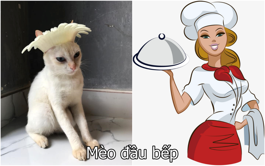 Xuất hiện boss mèo có biệt tài diễn xuất, hóa thân thành 12 nhân vật chỉ với miếng xốp bọc lê - Ảnh 10. Xuất hiện boss mèo có biệt tài diễn xuất, hóa thân thành 12 nhân vật chỉ với miếng xốp bọc lê - Ảnh 10.