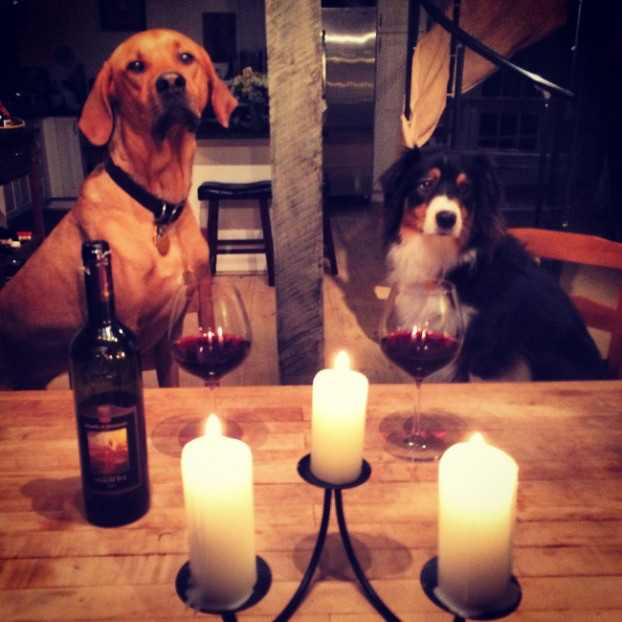 14 bức ảnh chứng minh ngôn tình vẫn hiện hữu ngoài đời thực ảnh 5 Bạn trai tôi và tôi gặp được nhau ở công viên cho chó, vậy nên cuối tuần vừa qua thực ra là kỷ niệm 2 năm của chúng