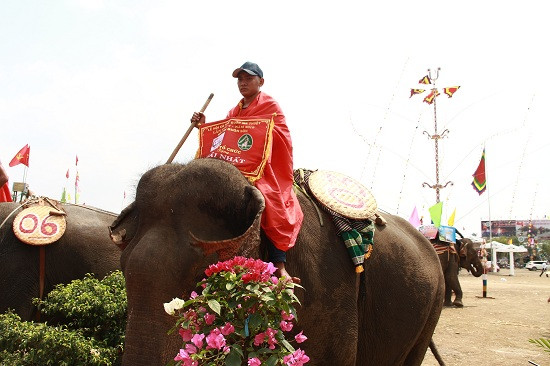 Sau các trận tranh tài kịch tính, ngang sức ngang tài, chú voi mang số 03 của nài voi Y Hơi Byă đã bứt phá giành chiến thắng trong sự reo hò của khán giả.