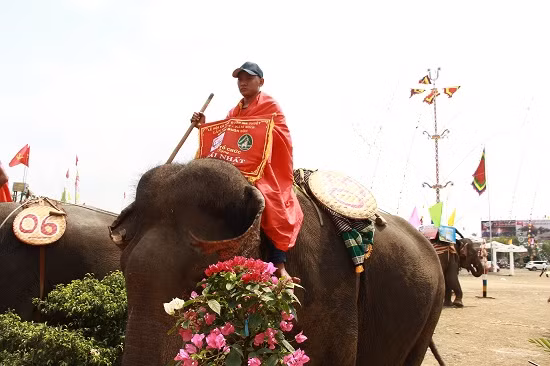 Sau các trận tranh tài kịch tính, ngang sức ngang tài, chú voi mang số 03 của nài voi Y Hơi Byă đã bứt phá giành chiến thắng trong sự reo hò của khán giả.