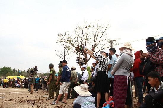 Hàng nghìn khán giả đội nắng, hào hứng tham gia cổ vũ cho các chú voi.