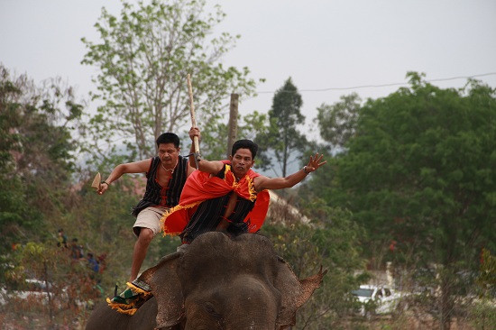 Nài voi mạnh mẽ, oai hùng trên lưng voi quyết liệt tranh đấu với hy vọng giành chiến thắng.