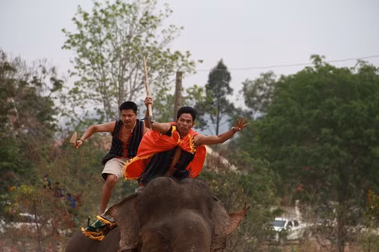 Nài voi mạnh mẽ, oai hùng trên lưng voi quyết liệt tranh đấu với hy vọng giành chiến thắng.