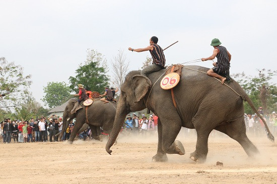 Các “vận động viên” ngang sức ngang tài tranh đấu.